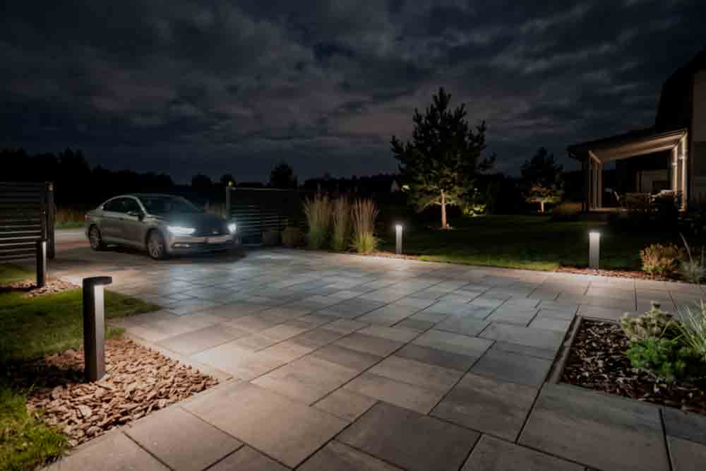 Judesio davikliai